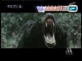 中国电影报道 中国电影报道 2010年 第19期