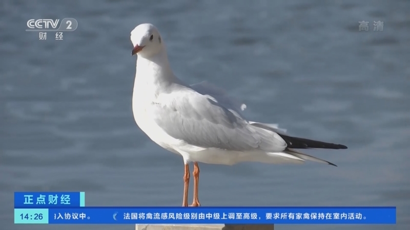 正点财经 《正点财经》 20221111 14:00