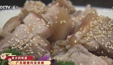 远方的家 《远方的家》 家乡的味道 华南的美食盛宴 20190130