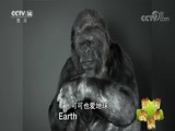 新闻袋袋裤 《新闻袋袋裤》 20180626