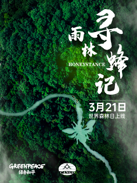 雨林寻蜂记