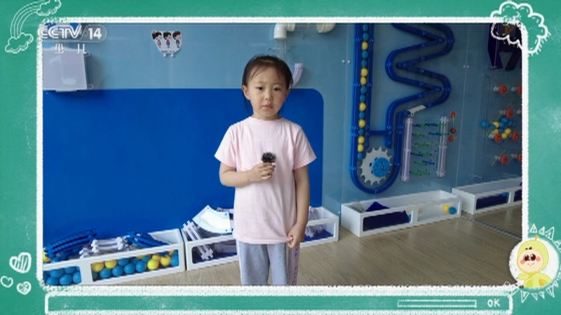 小小智慧树 《小小智慧树》 20250527