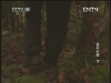 地理中国 《地理中国》 20130114 五彩幻境（下）
