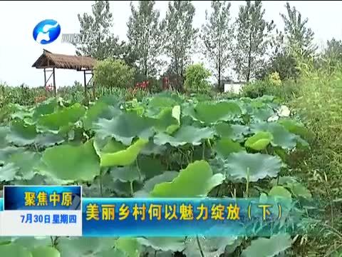 聚焦中原 《聚焦中原》 20150730 美丽乡村何以魅力绽放（下）