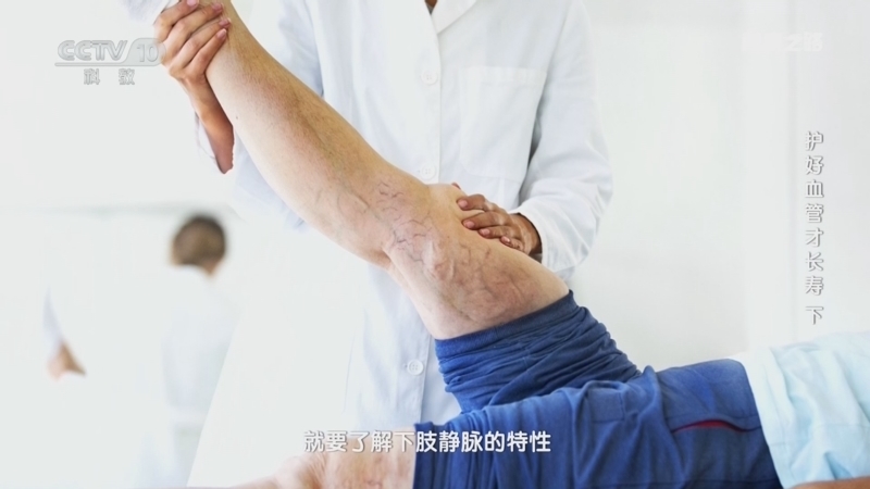 健康之路 《健康之路》 20260323 护好血管才长寿（下）