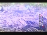 动物世界 《动物世界》 20130809 谁是百毒之王 响尾蛇 科莫多巨蜥 黄蜂