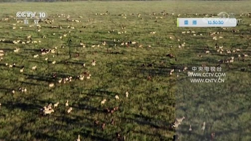 自然传奇 《自然传奇》 20200428 一路向前