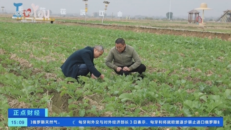 《正点财经》 20251204 15:00