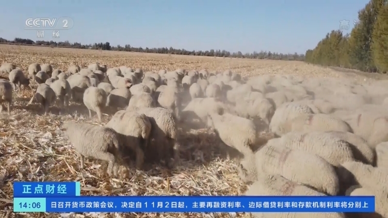 正点财经 《正点财经》 20221028 14:00