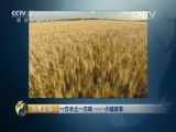 消费主张 《消费主张》 20150526 一方水土一方味——小城故事