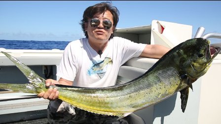 飞澳两万里 第一季 海中巨物 奇遇 09