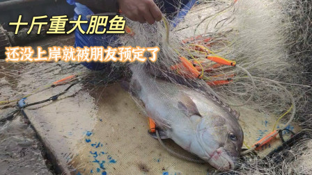 南澳岛赶海日记 彪哥外海收获10斤重大肥鱼，还没上岸就被朋友预定了，直接放血了