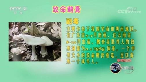 职场健康课 《职场健康课》 20190409 三个关于吃的真相
