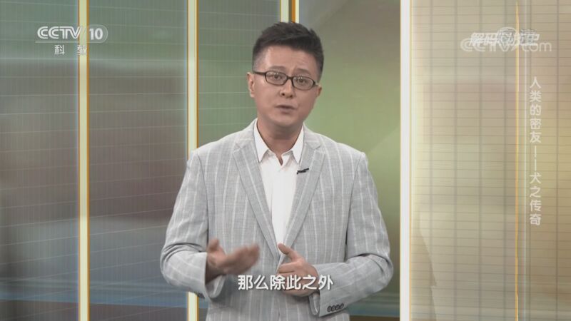 解码科技史 《解码科技史》 20201122 人类的密友——犬之传奇