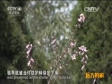 远方的家 《远方的家》江河万里行 第254集 巢湖之滨 秀美庐江 20150507