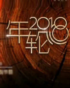 年轮2018跨年直播特别节目