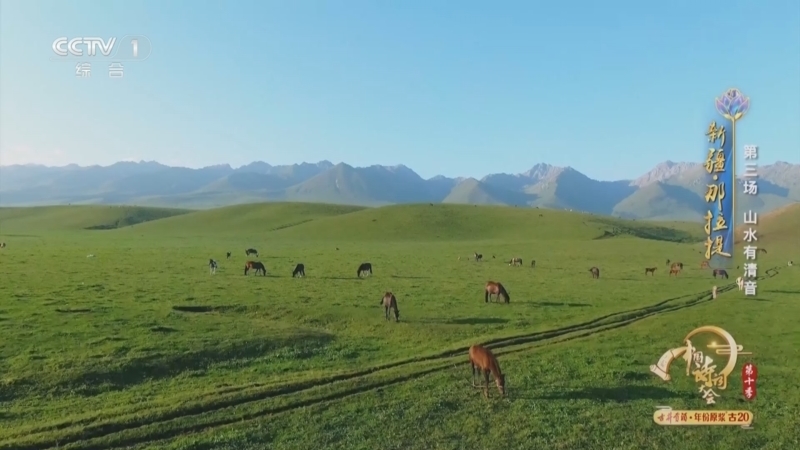 《2025中国诗词大会》 20260118 第三场 山水有清音