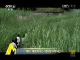 中国电影报道 《中国电影报道》 20160927