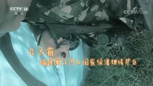 绿野寻踪 《绿野寻踪》 20181121 最野假期