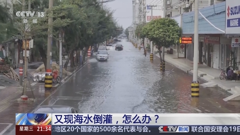 新闻1+1 《新闻1+1》 20241120 又现海水倒灌，怎么办？
