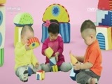 小小智慧树 《小小智慧树》 20170612