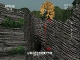 地理中国 《地理中国》 20171122 天坑奇观·仙人洞谜云