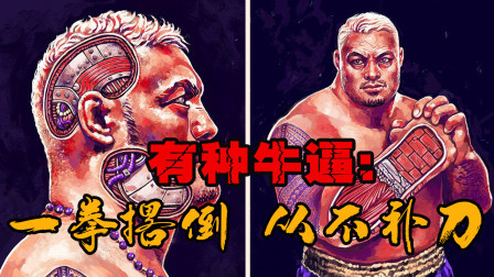 综合格斗传奇重炮手：有种牛X，叫一拳撂倒 从不补刀