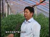 县域经济报道 《县域经济报道》 20110715