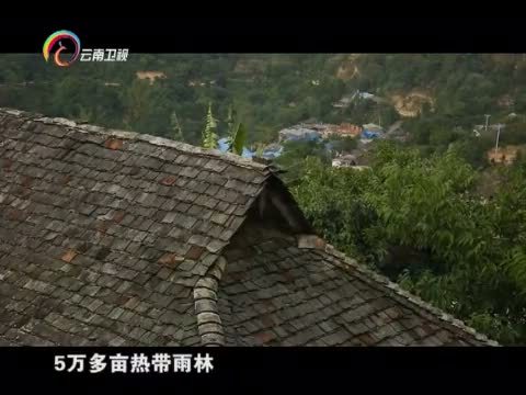 情暖人间 《情暖人间》 20150608 筑梦云南影像志 柳天伟的奉献与快乐