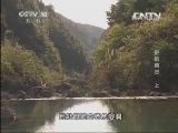 地理中国 《地理中国》 20131105 史前精灵（上）