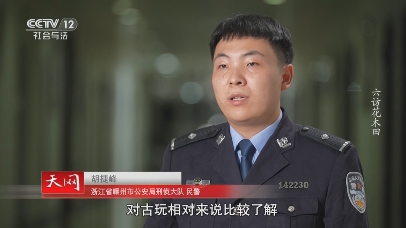 天网 《天网》 20241129 六访花木田