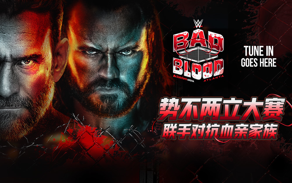 WWE 势不两立大赛 下集