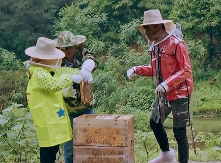 为寻食材与蜜蜂斗智斗勇