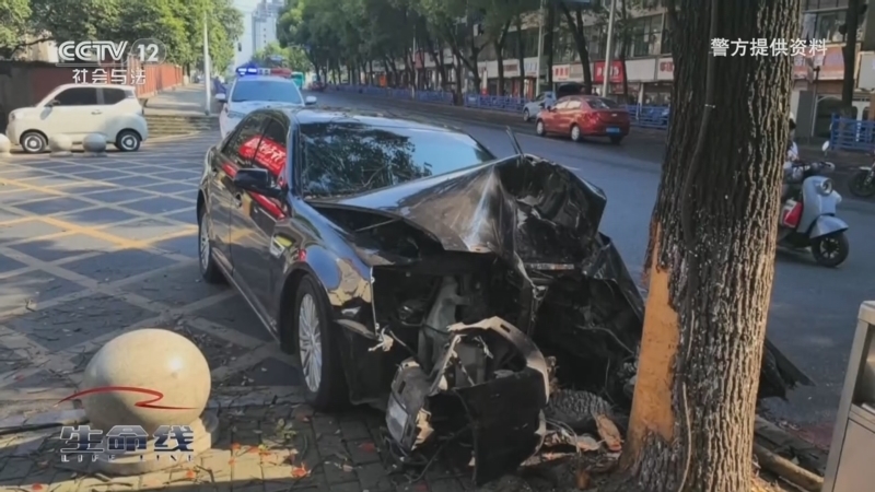 《生命线》 20260401