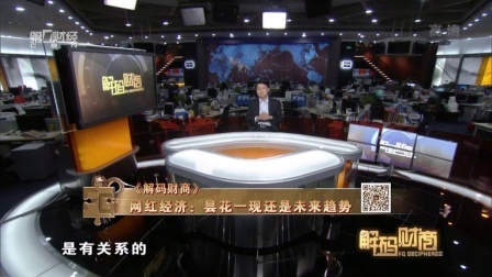 解码财商 网红经济 昙花一现还是未来趋势 160719