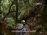 军事纪实 《军事纪实》 20151027 深海蛟龙丛林秘训记