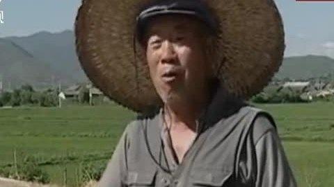 经典传奇 恐怖木桩阵的秘密