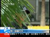 法治在线 法治在线 2010-10-13