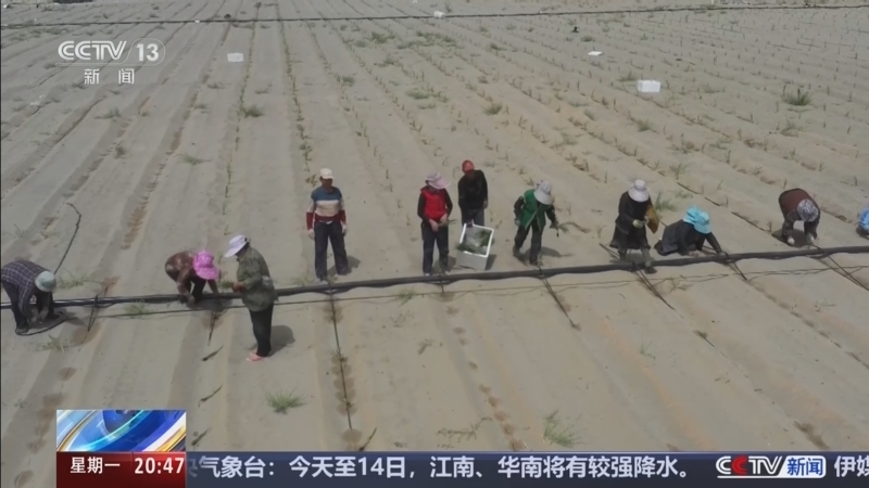 东方时空 《东方时空》 20260511
