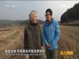 远方的家 《远方的家》江河万里行 第240集 湘江 浏阳河畔 情满长沙 20150414