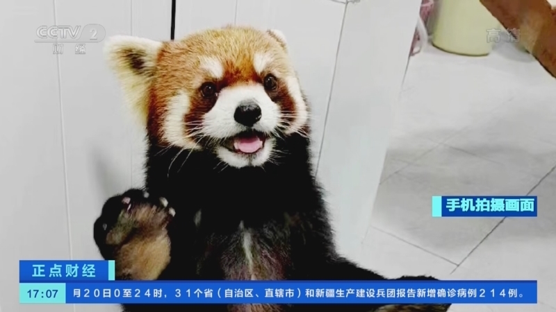 正点财经 《正点财经》 20221021 17:00