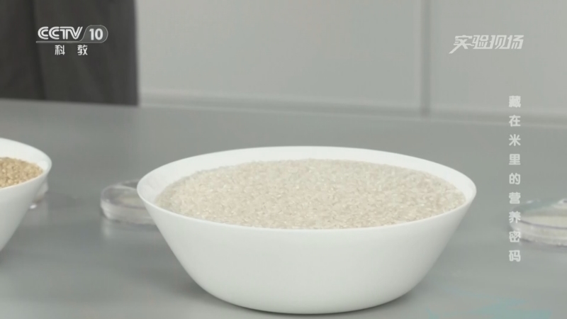 《实验现场》 20260313 藏在米里的营养密码