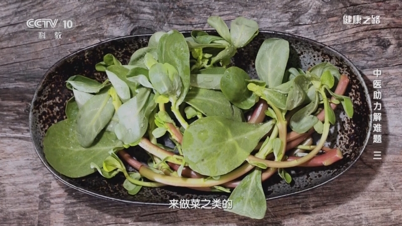 健康之路 《健康之路》 20231123 中医助力解难题（三）