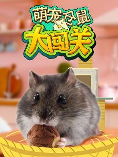 萌宠仓鼠大闯关 第二季