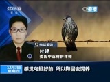 新闻1+1 《新闻1+1》 20151203 就因为掏鸟窝，判了10年半？