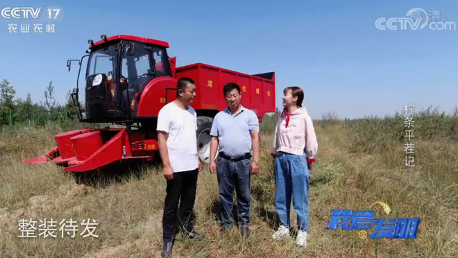我爱发明 《我爱发明》 20200217 柠条平茬记