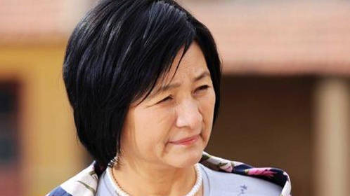 鲁豫有约 郑佩佩忆破产离婚：为生儿子怀孕八次