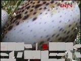 自然传奇 大自然的猜想（二）[自然传奇] 20120303
