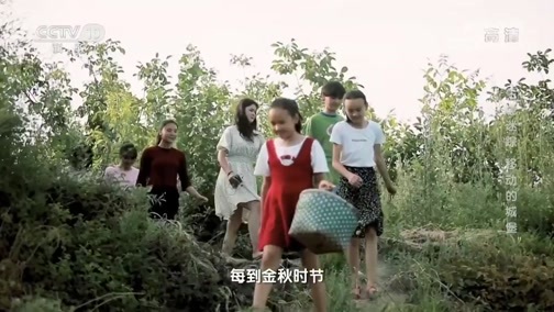 地理中国 《地理·中国》 20200707 生境迷踪·移动的“城堡”