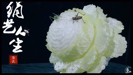 二更视频 艺术家用绢制蝈蝈白菜超逼真 老农民都难辨真假 522